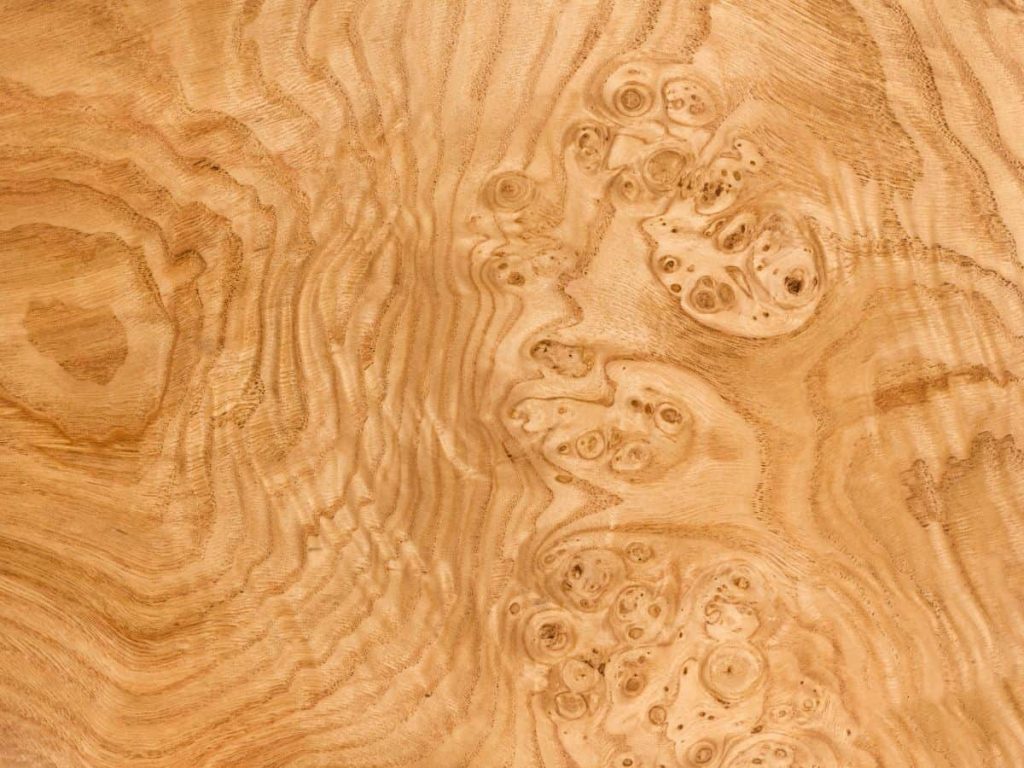 Close-up of chestnut burl wood with swirling, knotty grain patterns and eye-like clusters, showing complex, organic textures in a warm tan hue.
